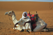 Sudan, Beduine und Kamel- Hier klicken zum Vergrößern